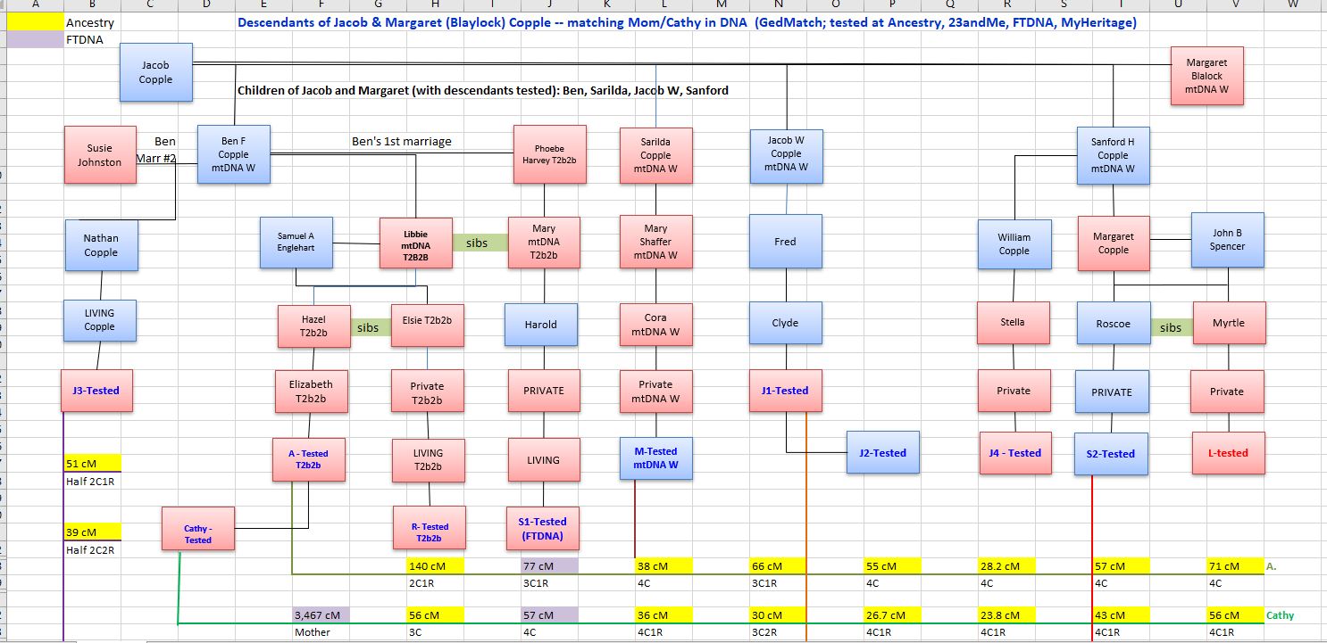 McGuireMethod_Visual_CoppleFamily