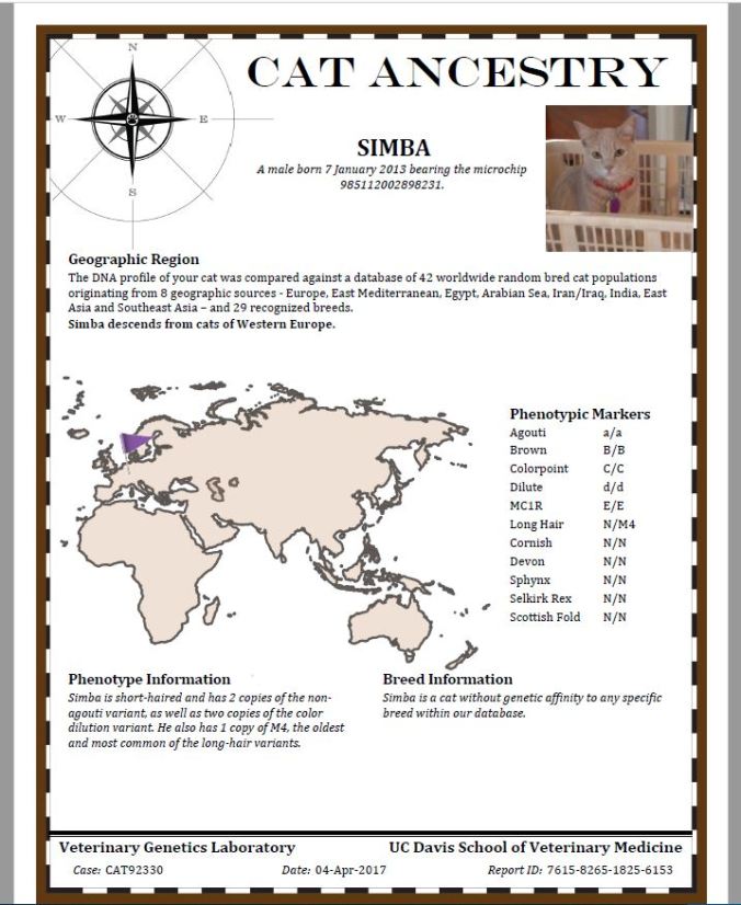 simba ancestry