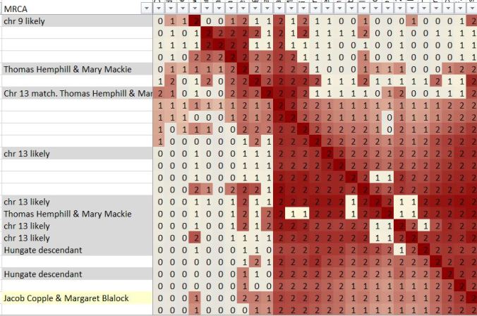 SharedClustering_Chr13