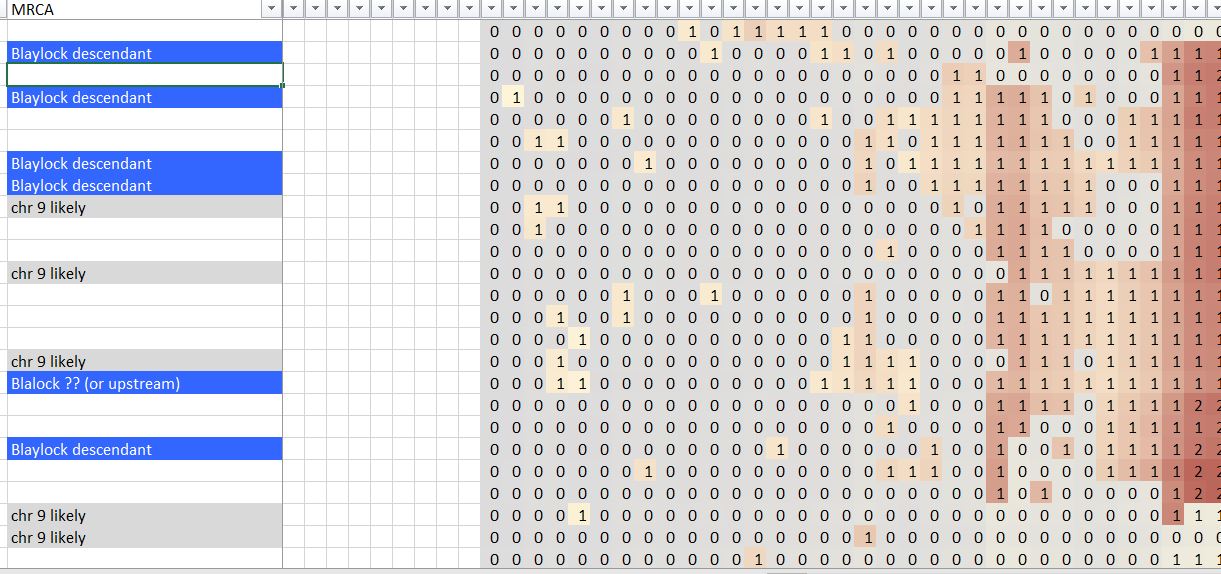 SharedClustering_Chr9