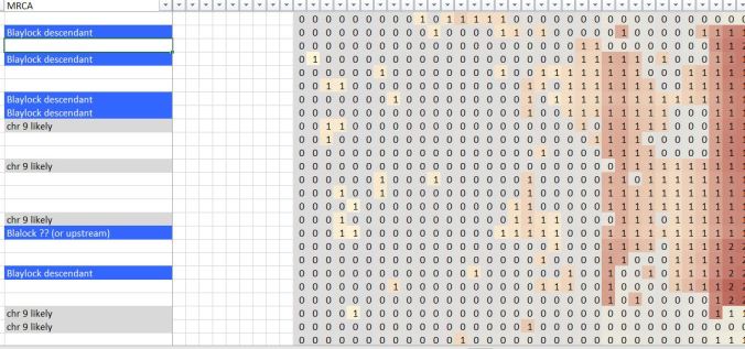 SharedClustering_Chr9